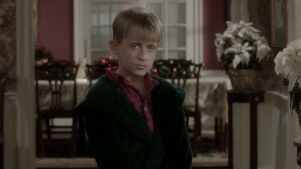 Один дома Сталлоне