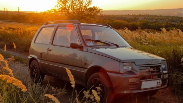 Автомобиль СЕАЗ 11116