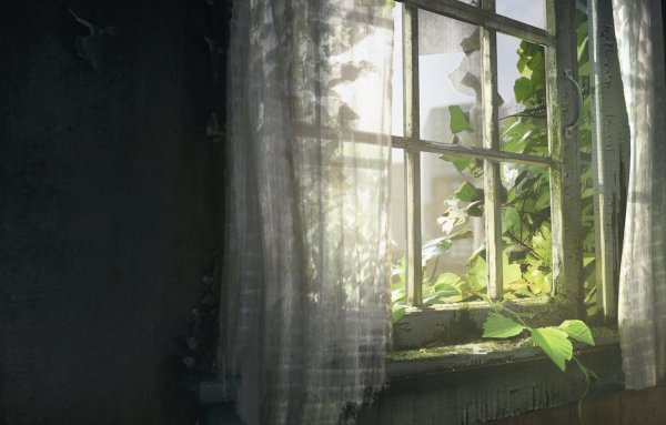 The last of us окно