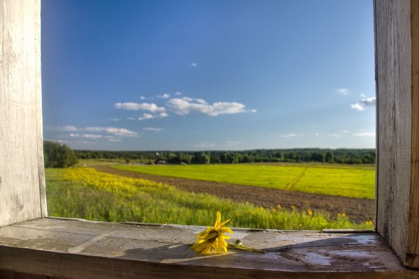 Вид из деревенского окна