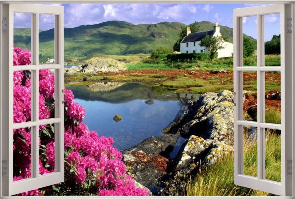 Природа за окном