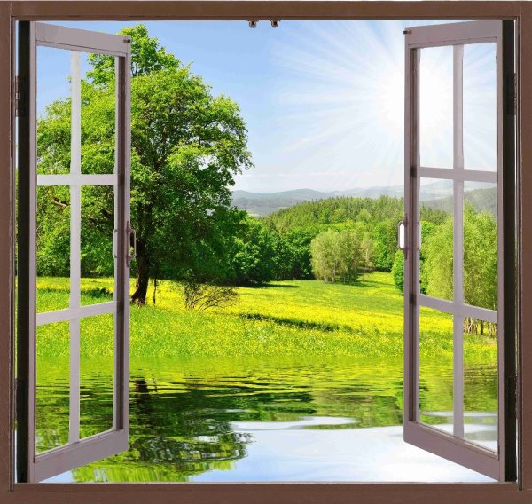 Окно в природу