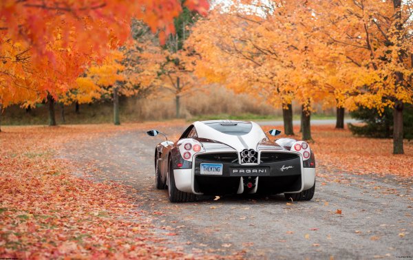 Машина осенью