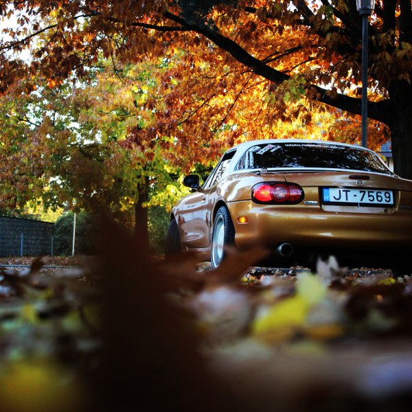 Машина осенью