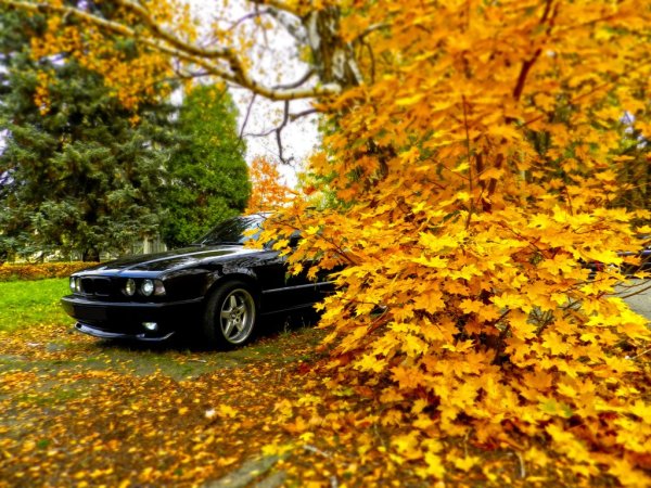 Машина осенью