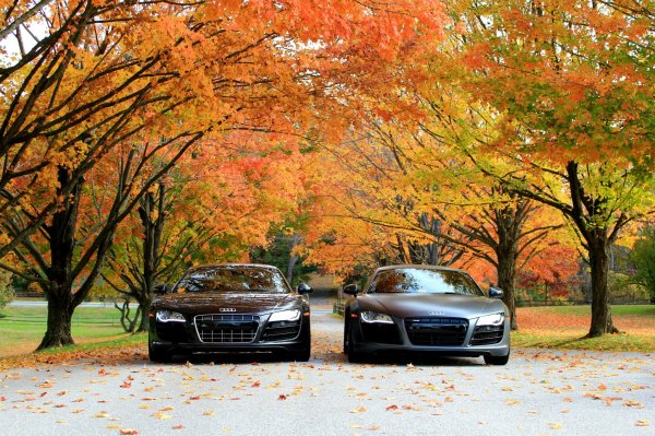 Ауди р8 осень