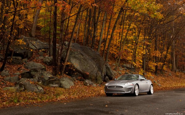 Машина осенью