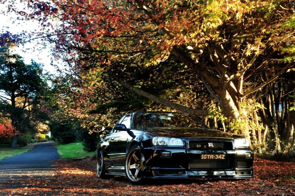 Nissan Skyline r34 природа