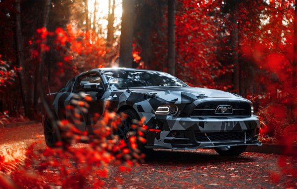 Форд Мустанг осенью