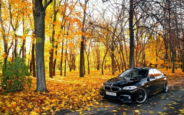 BMW f10 черный осень