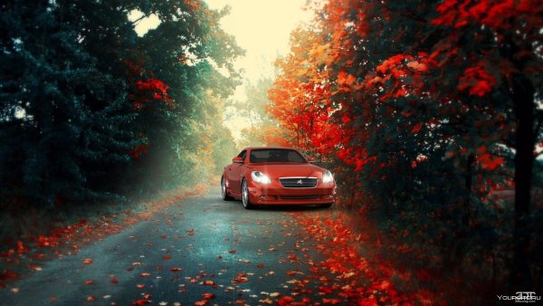 Осень машина дорога