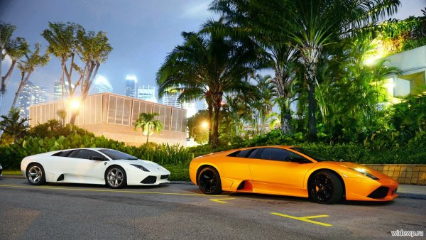 Ламборгини авентадор пальмы