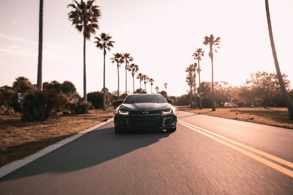 Дорога с пальмами