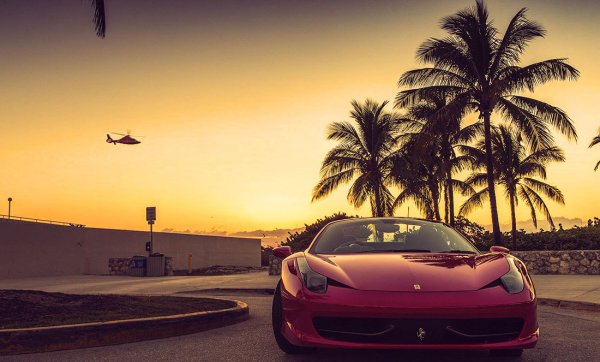 Крутые магмны и пальмы