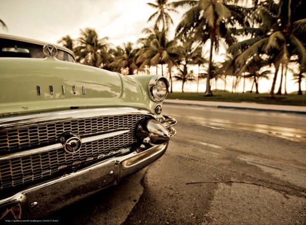 Ретро авто пальмы
