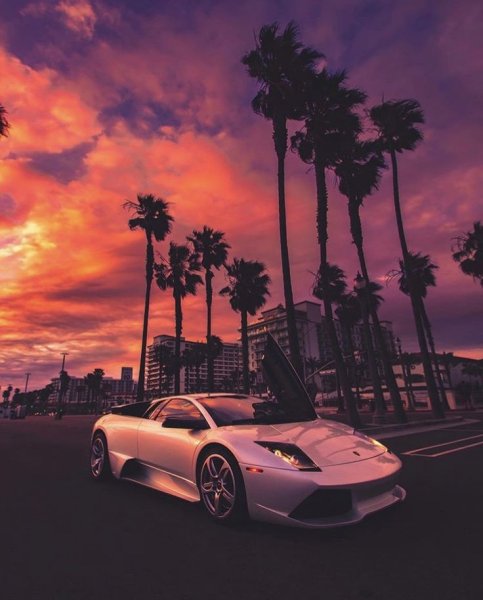 Машина и пальмы