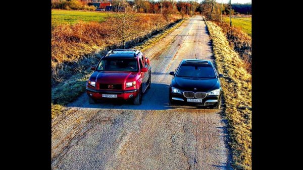 Обои Паша Пэл