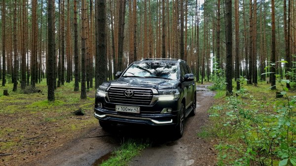 Toyota Land Cruiser 200 в лесу