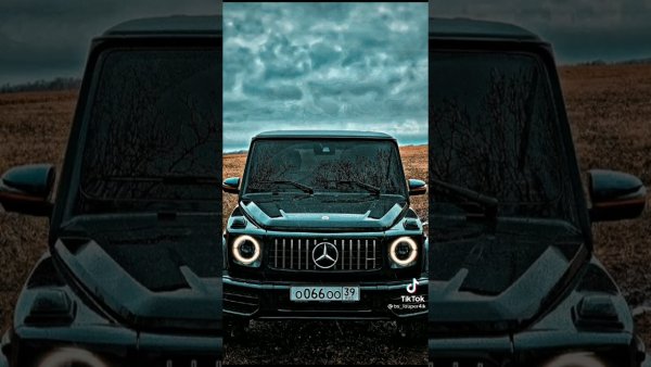 Паша Пэл Гелик новый