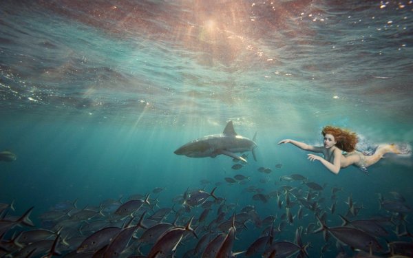 Подводный мир русалки