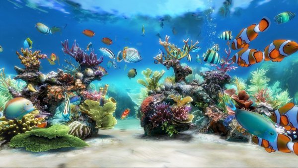 Аквариум 3д