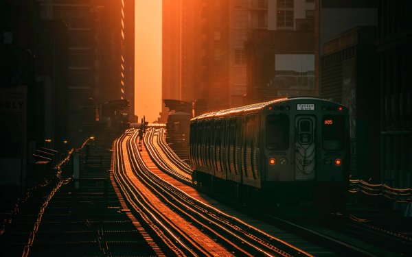 Поезд Эстетика