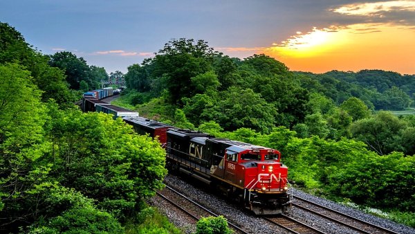 Красивый поезд