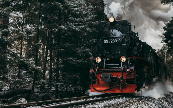 Паровоз в лесу