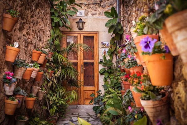 Цветы в горшках на крыльце