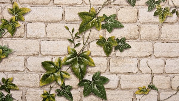 Каменный плющ