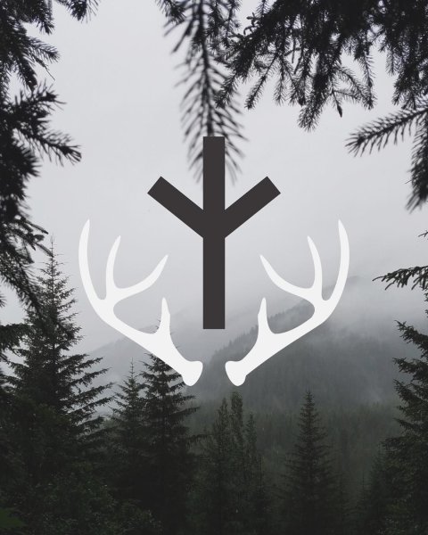 Знак Альгиз руна