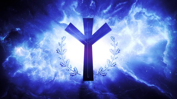 Национальный Альянс Уильяма пирса