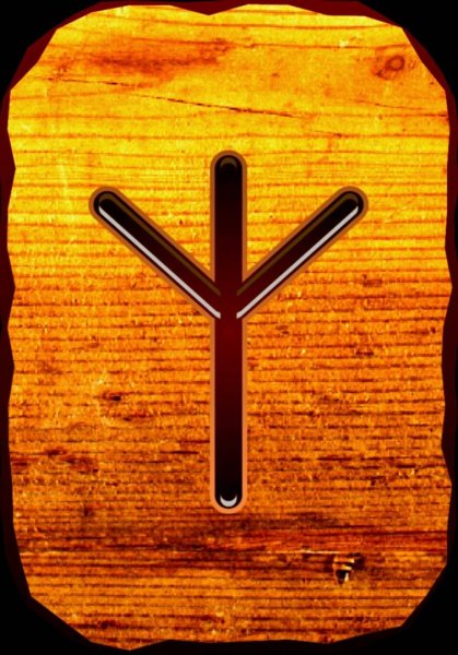 Руна algiz (Альгиз)