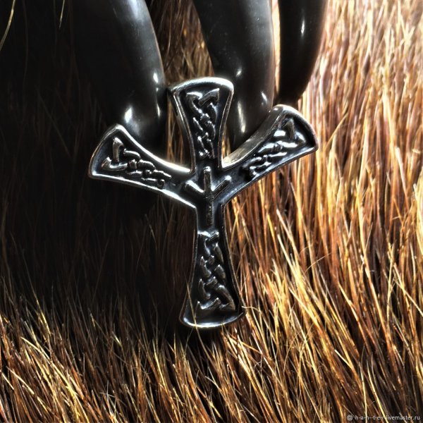 Руна Альгиз