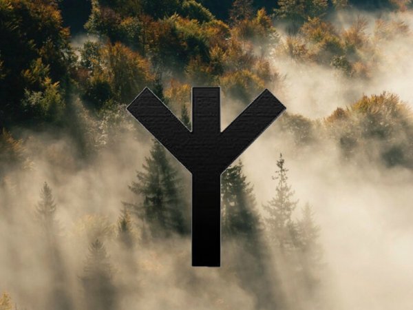 Руны Альгиз