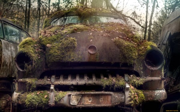 Машина заросшая мхом