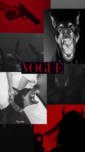 Чёрные обои с доберманом