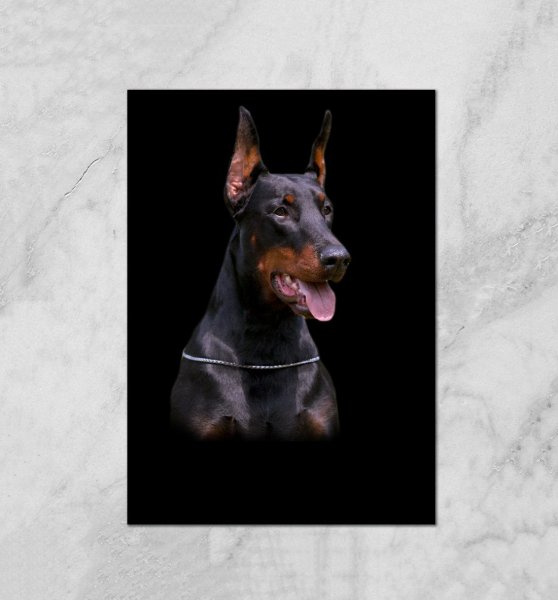 Бенжамин мародёр Доберман