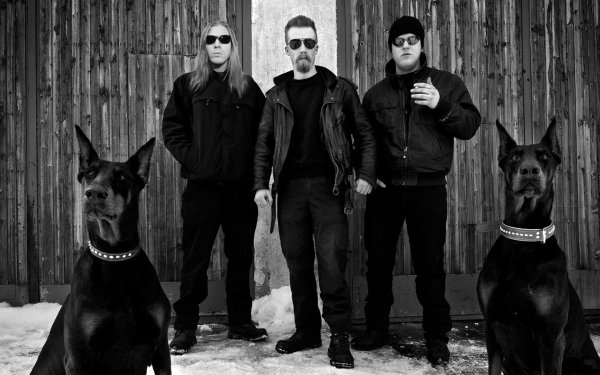 Группа Доберман Россия