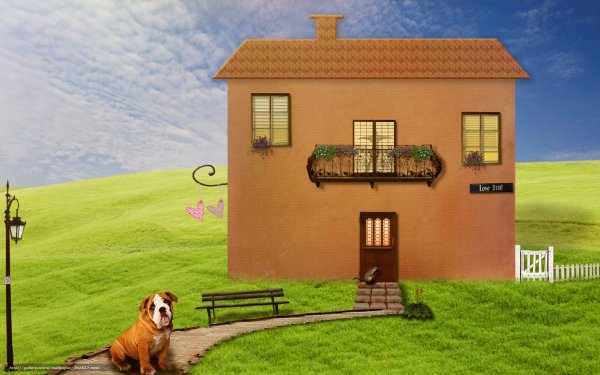 Дом собака обои