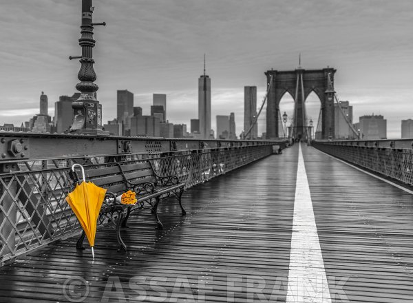 Ассаф Франк картины