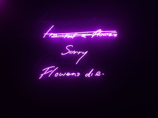 Трейси Эмин неон