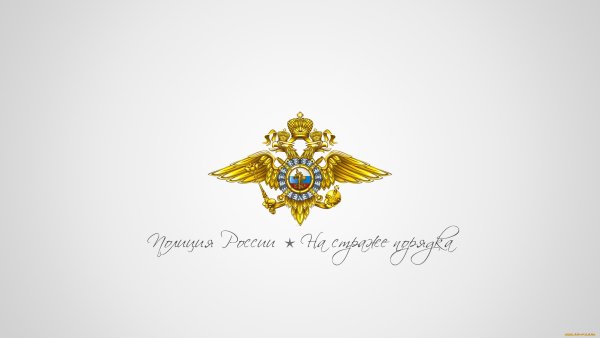 Фон МВД