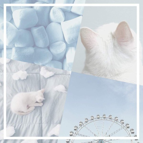 Обои с котиками Эстетика