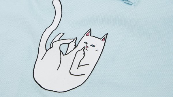 Парные обои с котиками