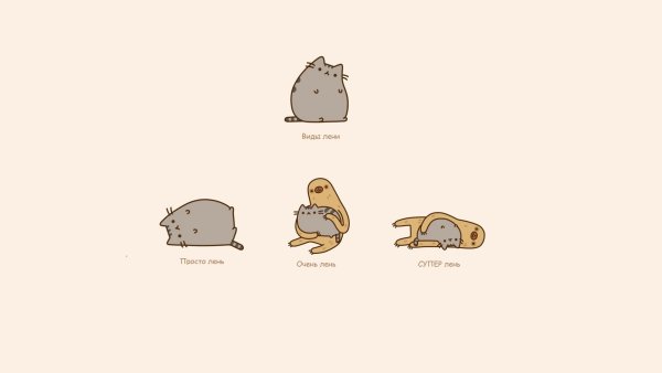 Pusheen обои