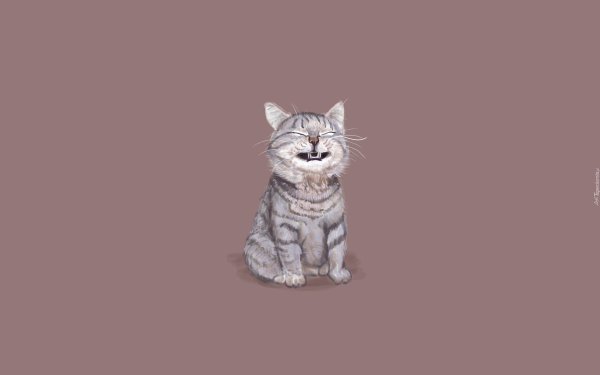 Кот Минимализм рисунок
