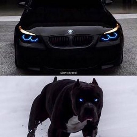 БМВ м5 пантера