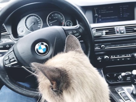 БМВ м5 пантера