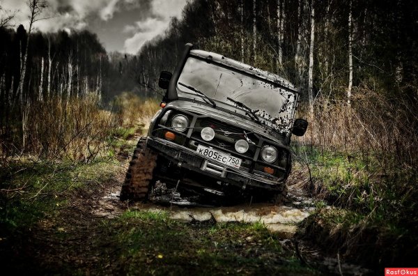 Внедорожник в лесу